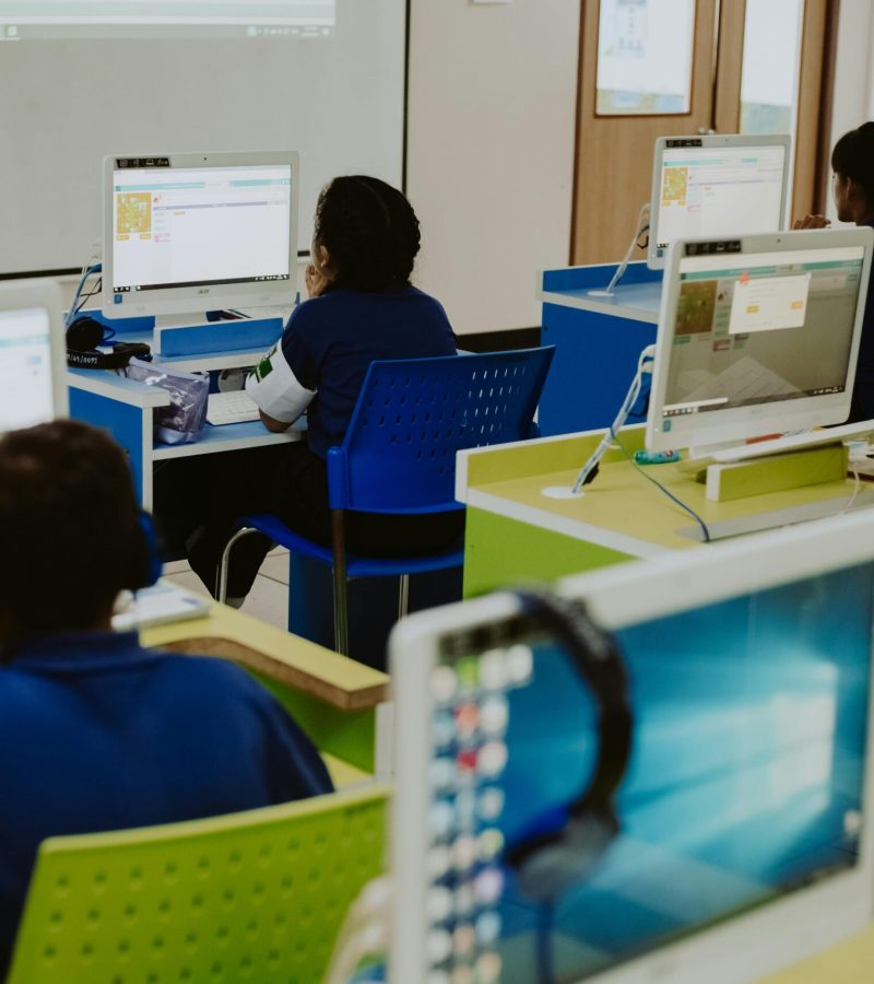 pexels-ron-lach-10638075